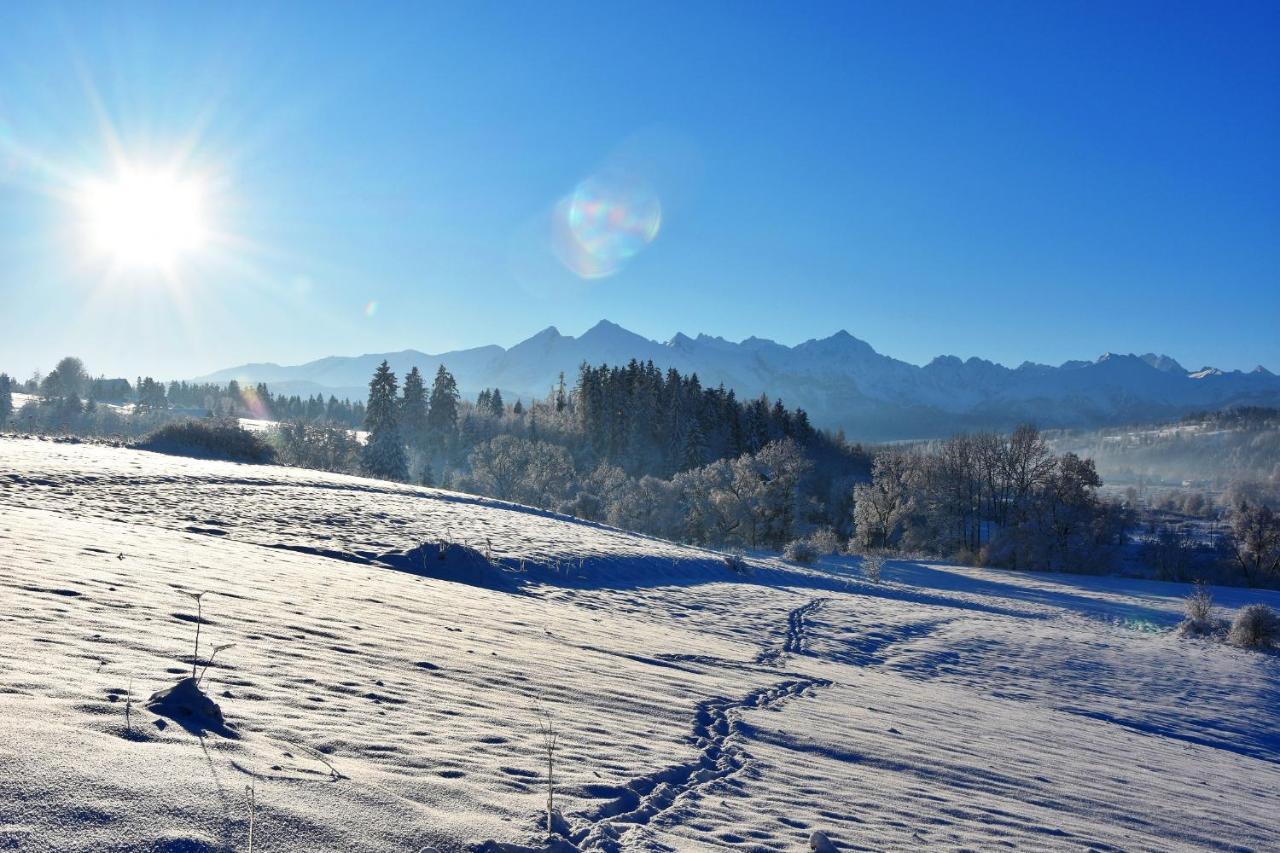Willa Zielona Polana Czarna Gora Bagian luar foto